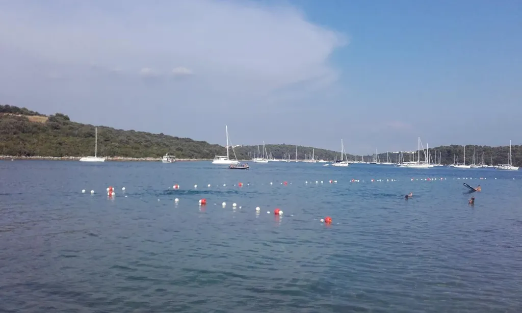 Fratarski otok