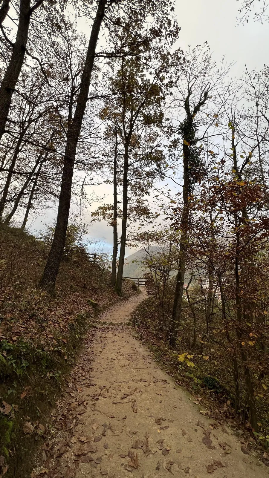 Muzej krapinskih neandertalaca — fotografija 1 od 29