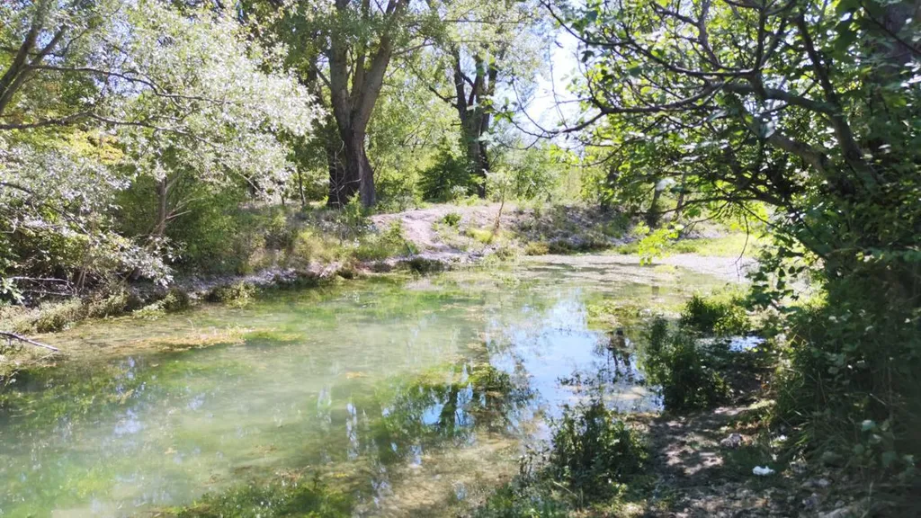 Izvor Cetine - Veliko vrilo