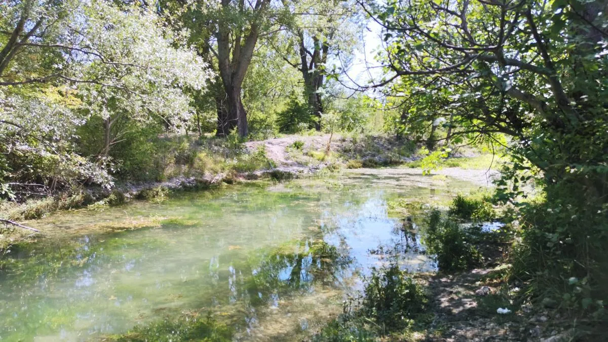 Izvor Cetine - Veliko vrilo — fotografija 1 od 6