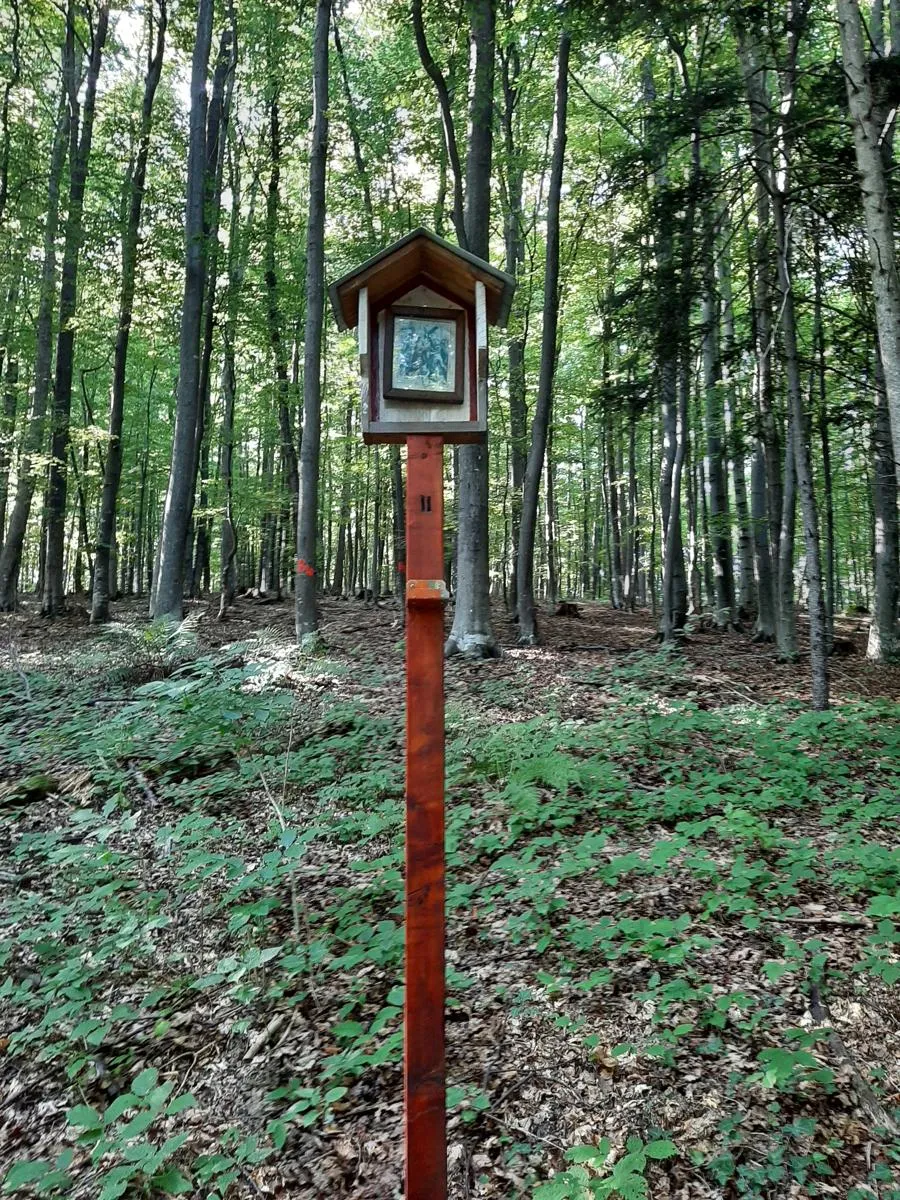 Veliki Lovnik — fotografija 1 od 5