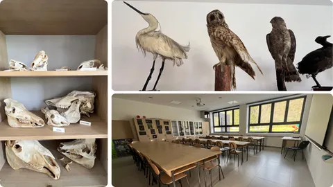 Laboratorij u kojem uživaju djeca razne dobi