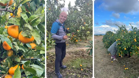 Jedna vrećica mandarina je u cijeni foto-safarija, a svaka sljedeća je 5 eur
