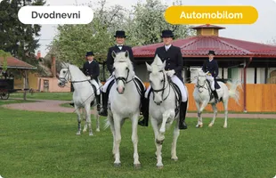 Vikend u srcu Slavonije: Đakovo, lipicanci i vinske ceste