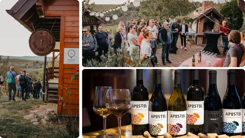 Lijevo i gore: Vinarija Milanović, Dolje: vina Vinarije Apostol