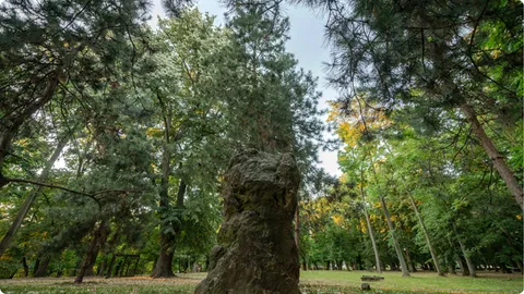 Znameniti đakovački park je ukras i “pluća” grada