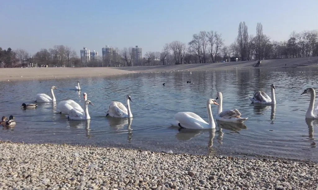 Đir oko 5 zagrebačkih jezera