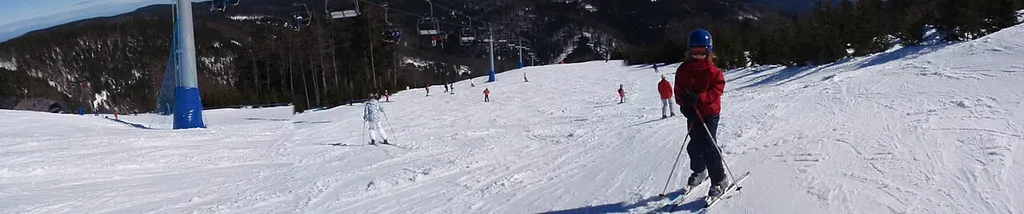 Rogla