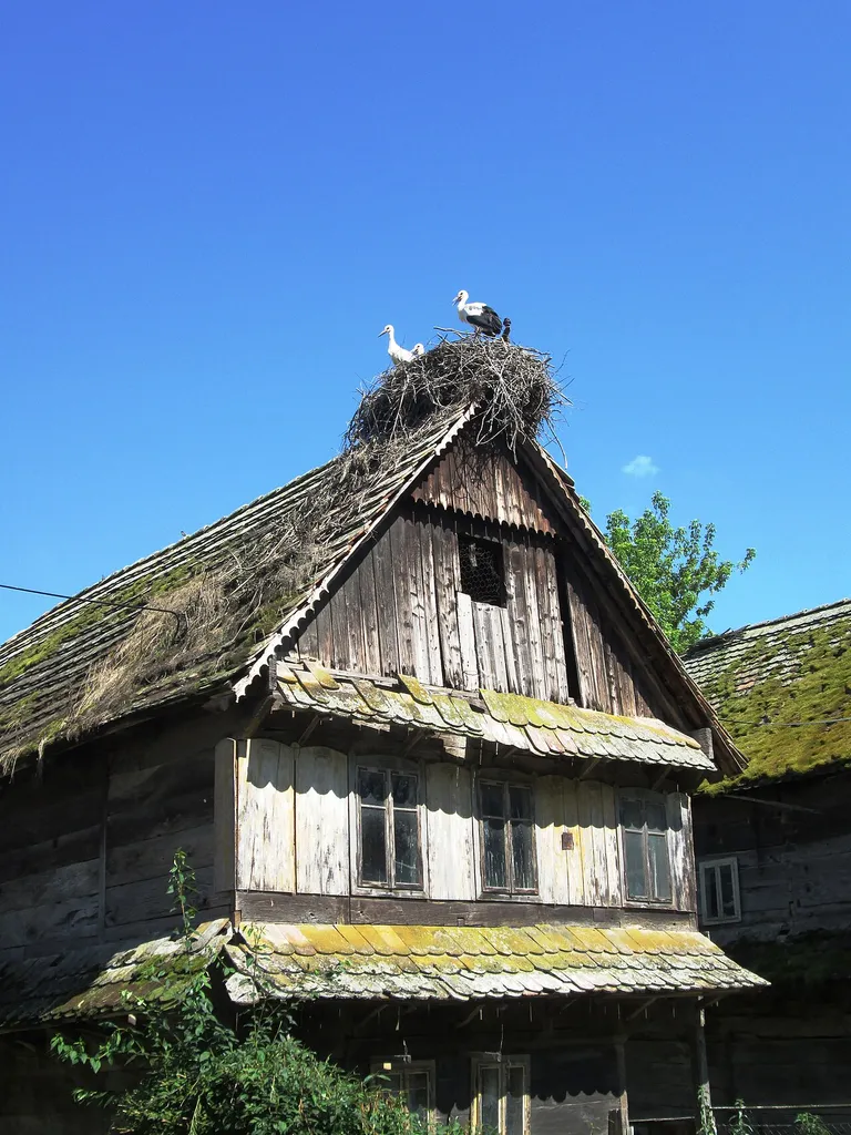 Tradicije Čigoč