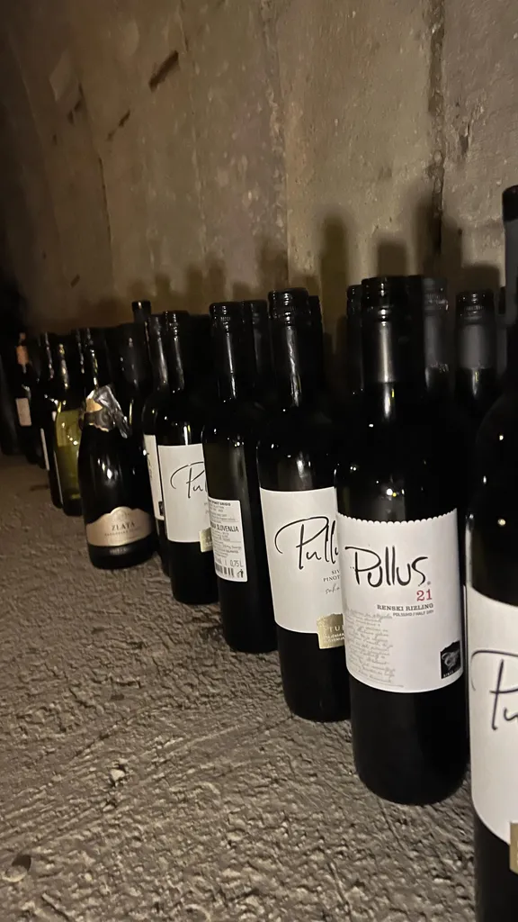 Degustacija u tunelima pod Ptujskim starim gradom