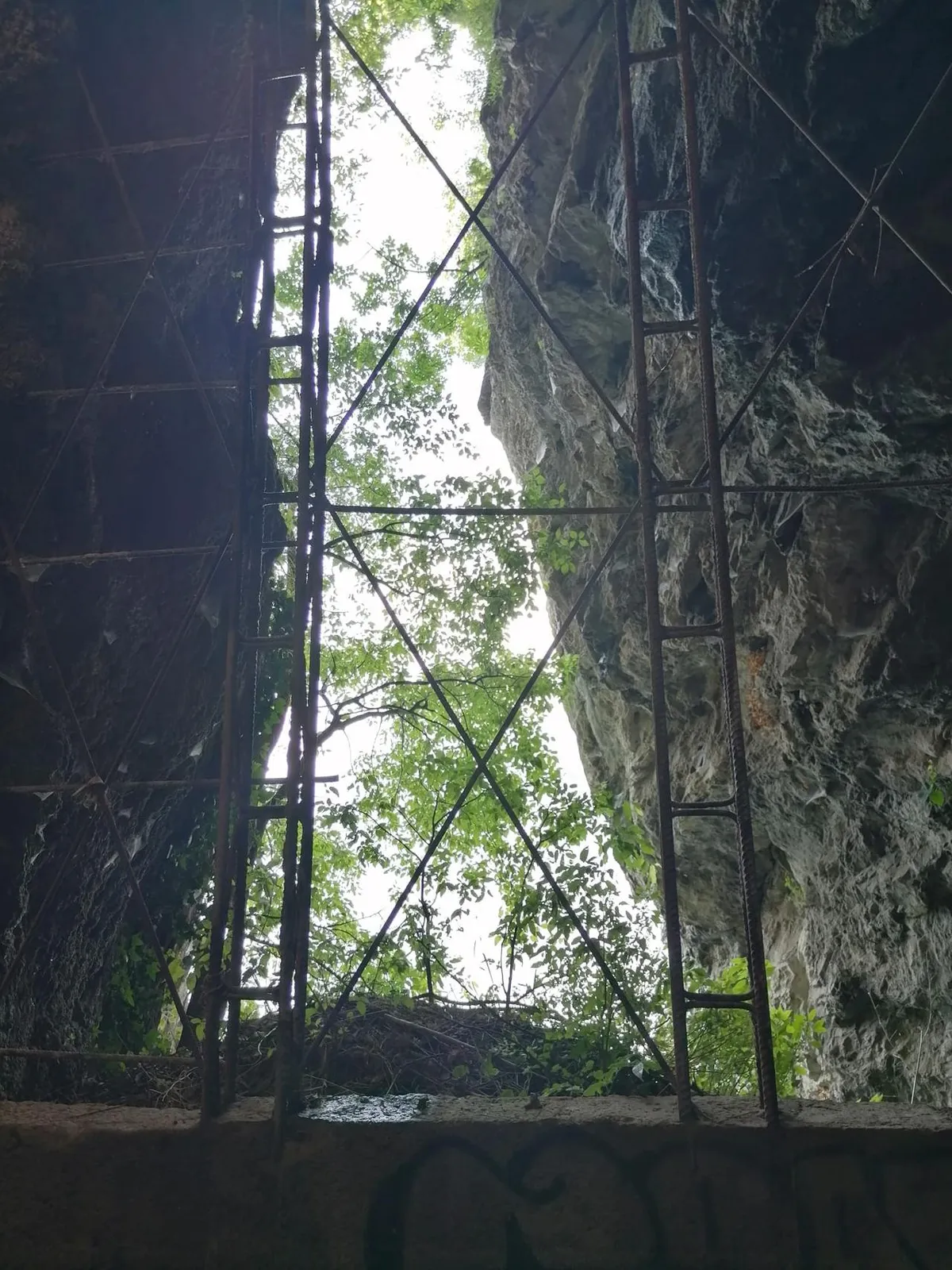 Pista ciclabile Vello Toline - pješačko biciklistička uživancija — fotografija 1 od 14