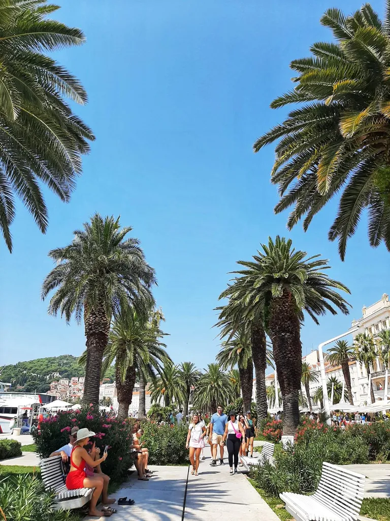 Splitska riva
