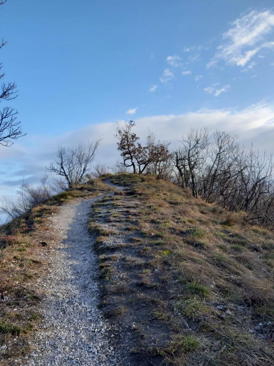Ptičji vrh — fotografija 1 od 3