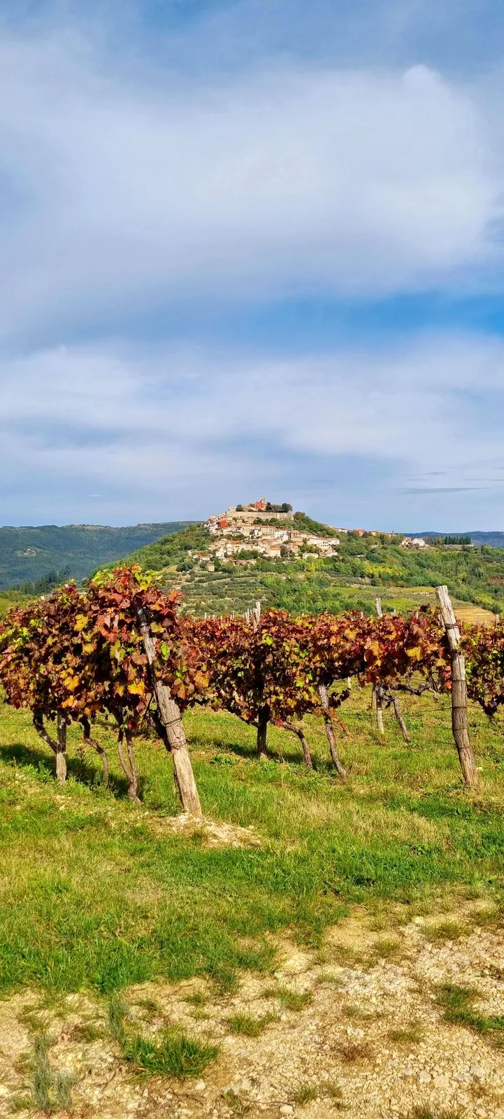 Motovun vidikovac — fotografija 1 od 4