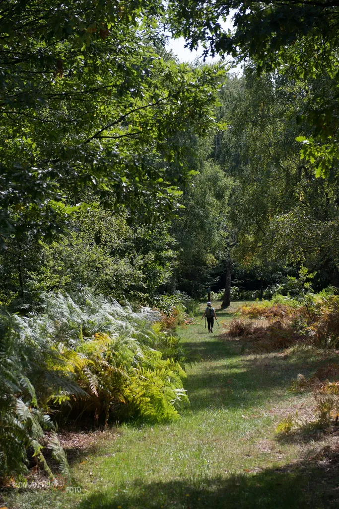 Staza kneževa – Arheološki park Budinjak