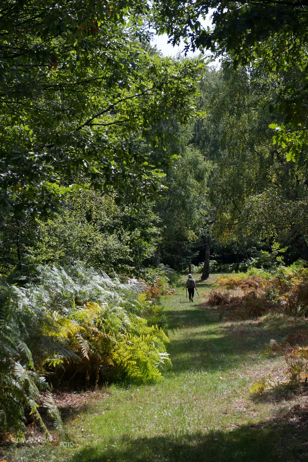 Staza kneževa – Arheološki park Budinjak — fotografija 1 od 1
