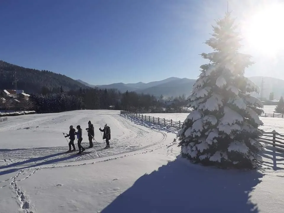 Skijaško trčanje Poonkt Ravna Gora — fotografija 1 od 10