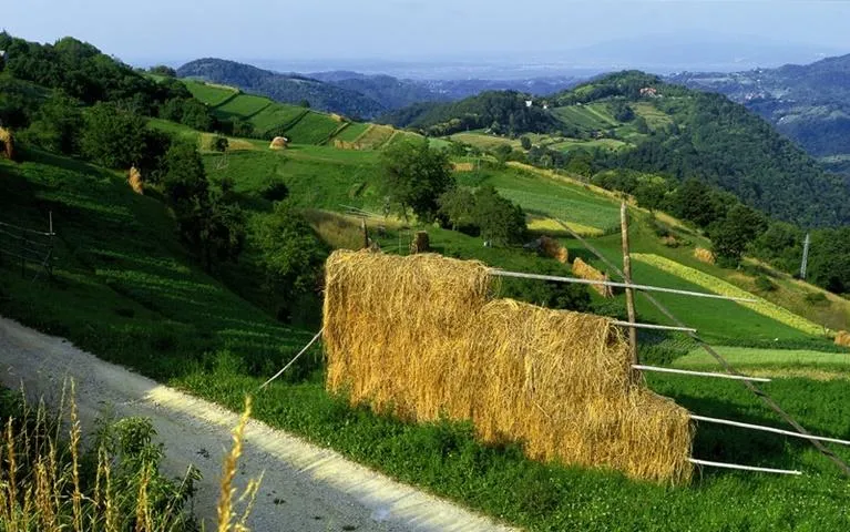 Park prirode Žumberak – Samoborsko gorje — fotografija 1 od 10