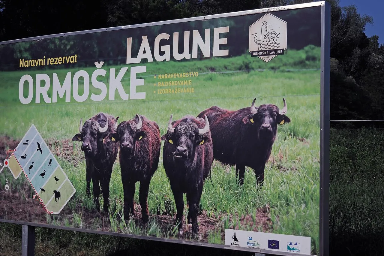 Ormoške lagune — fotografija 1 od 4