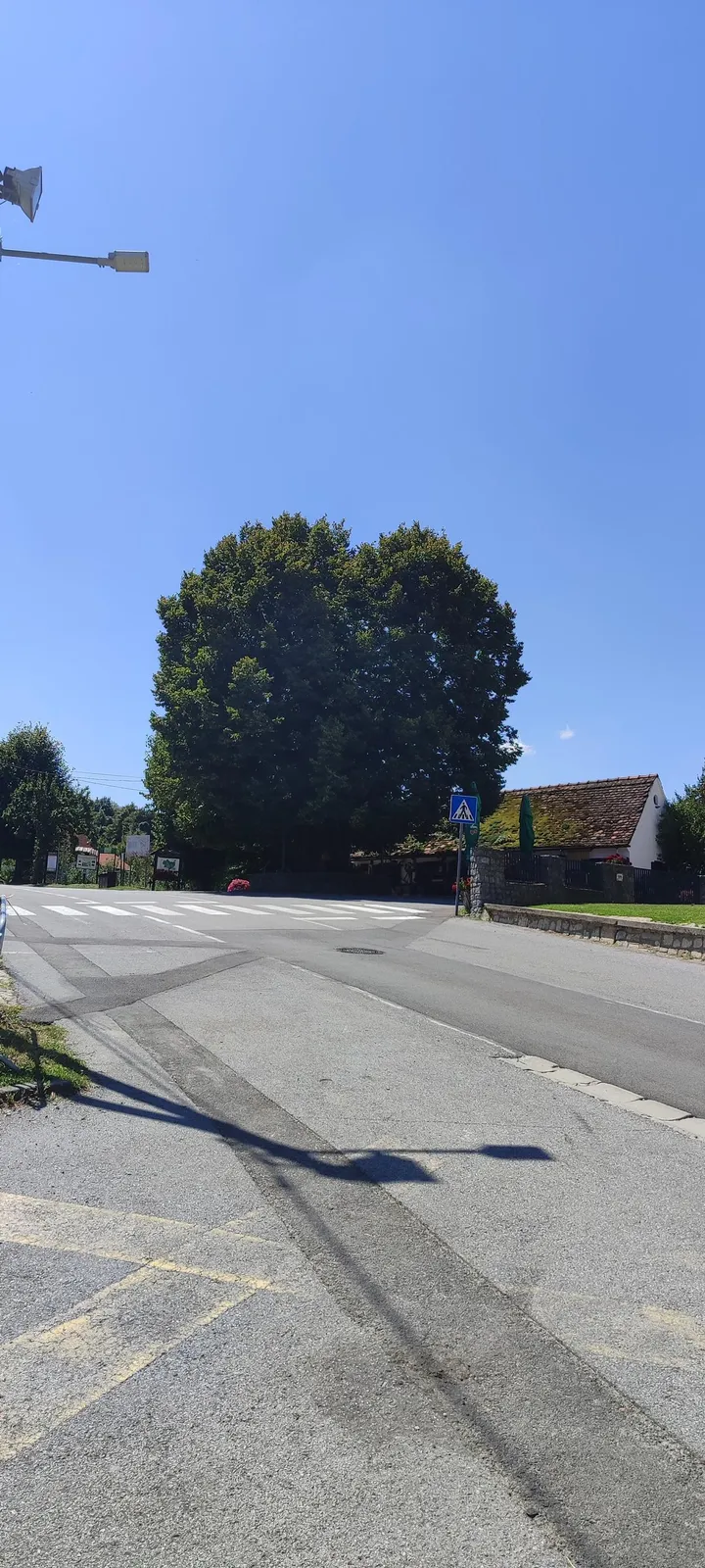 Gupčeva lipa — fotografija 1 od 11