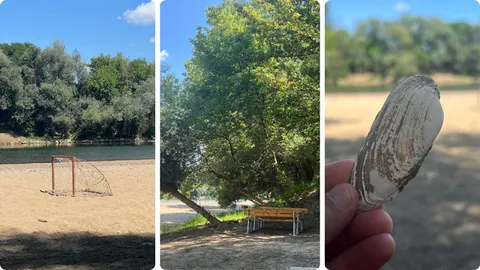 Lijevo: golovi za mali nogomet; Sredina: ima puno klupica i bar u sezoni; Desno: hmm, školjka?