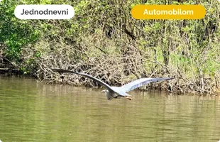 Lonjsko polje | Vikend u ritmu prirode | Prijedlog jednodnevnog itinerara