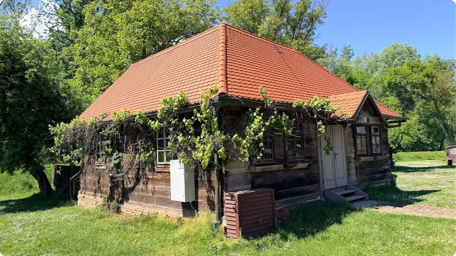 Stanite na tren i pogledajte ovaj prizor
