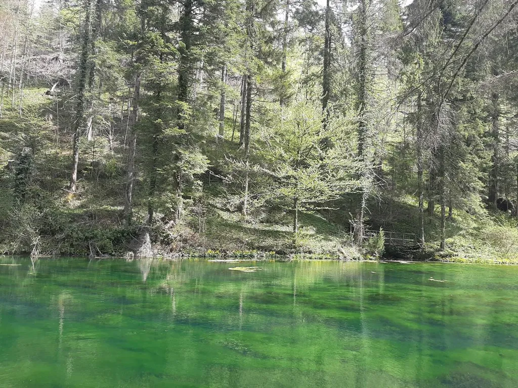 Čogrljevo jezero