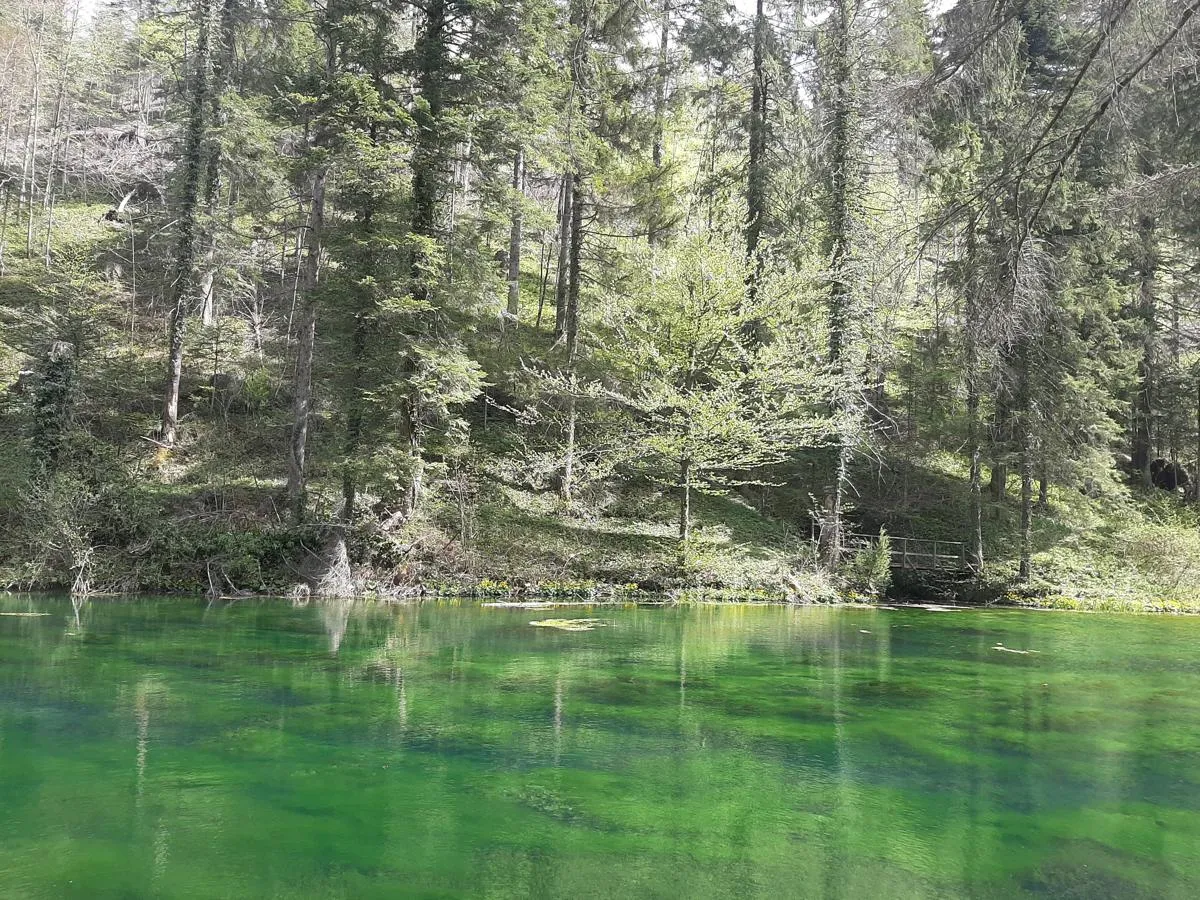 Čogrljevo jezero — fotografija 1 od 2