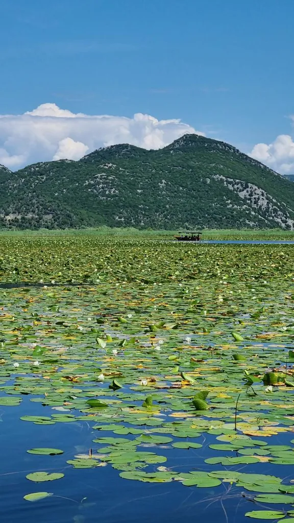 Skadarsko jezero