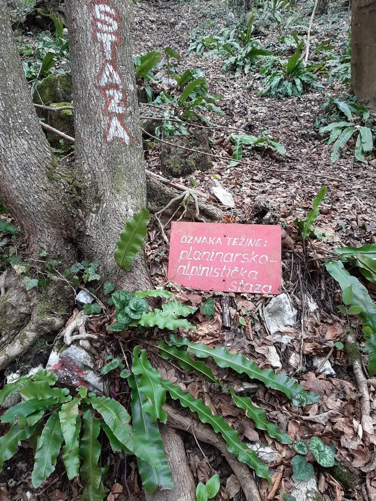 Poučna staza Okićnica