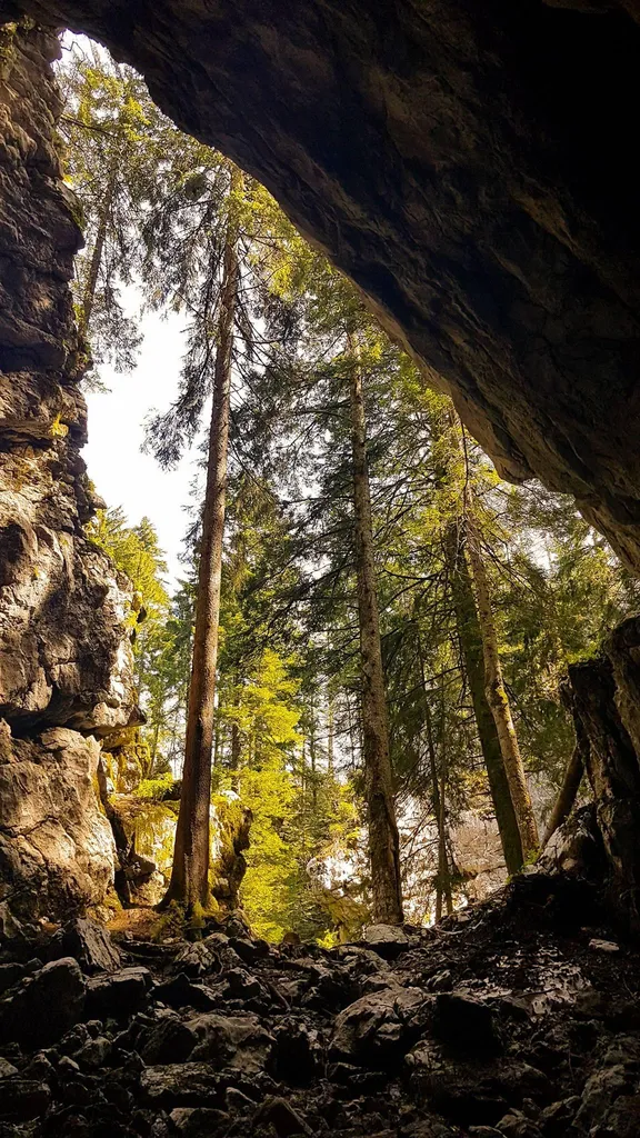Park šuma Golubinjak