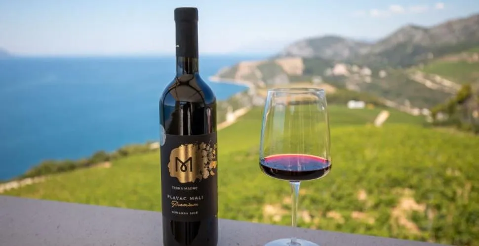 Vinarija Terra Madre Komarna