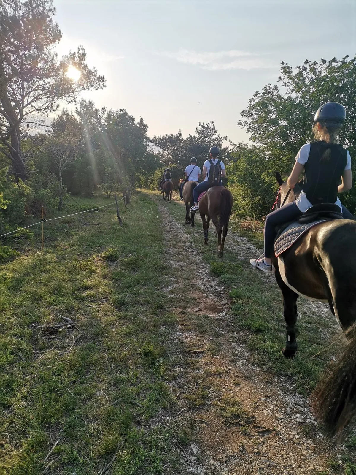 Ranch Marconi Labin — fotografija 1 od 12