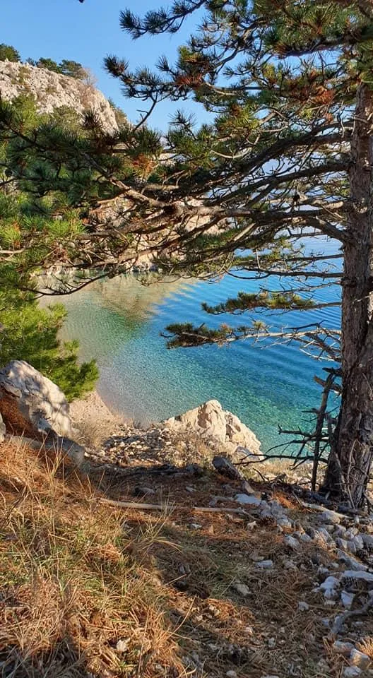 Šetnica Bunculuka Jablanova