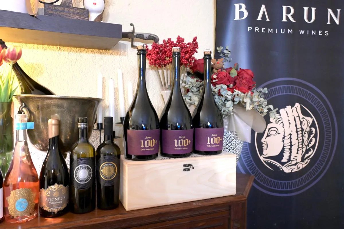 Vinarija Barun — fotografija 1 od 17