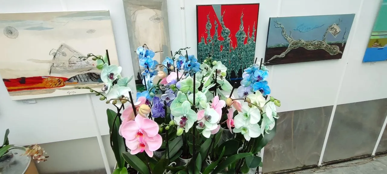Ocean Orchid rasadnik — fotografija 1 od 16