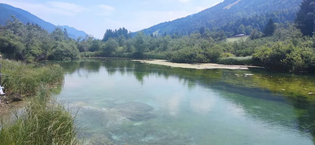 Jezero Zelenci