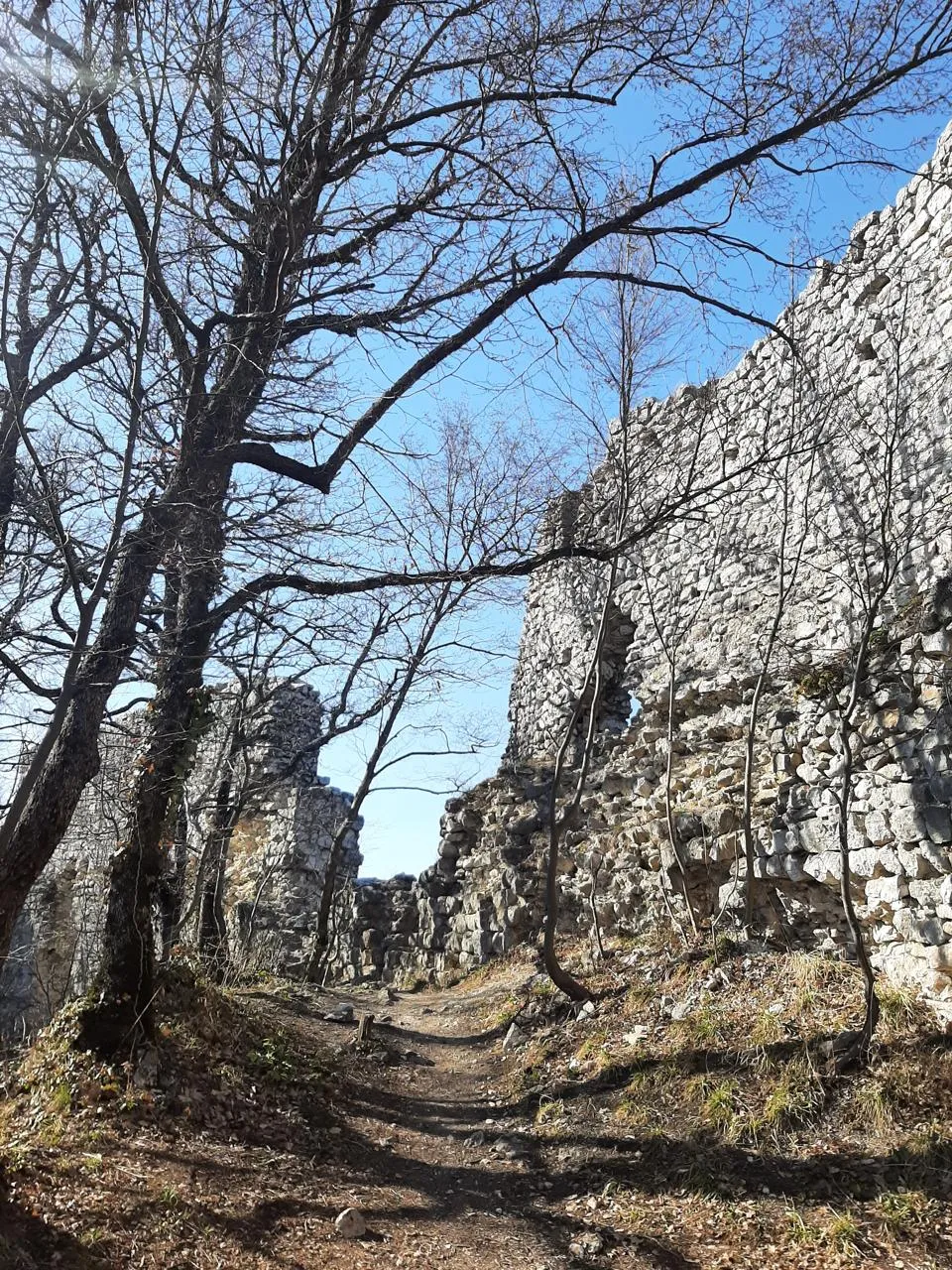 Stari grad Okić — fotografija 1 od 3
