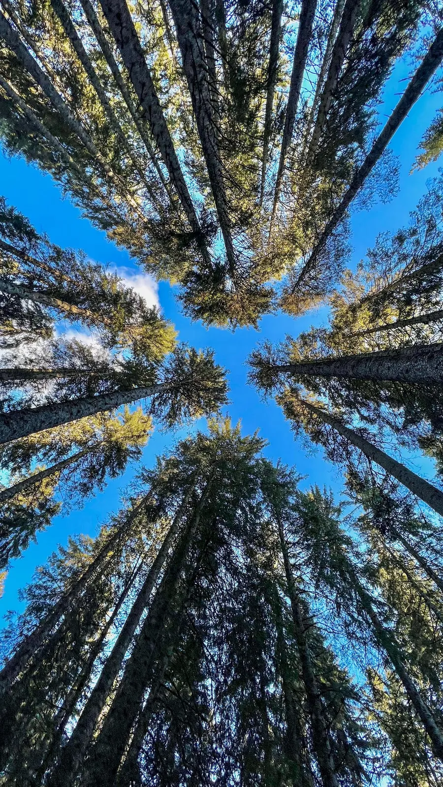 Planinarenje do Debele Peči — fotografija 1 od 23