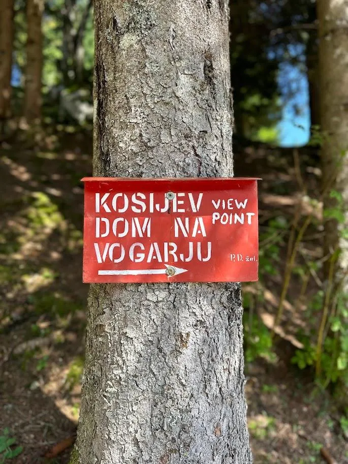 Vogar-vidikovac s pogledom na Bohinj — fotografija 1 od 7