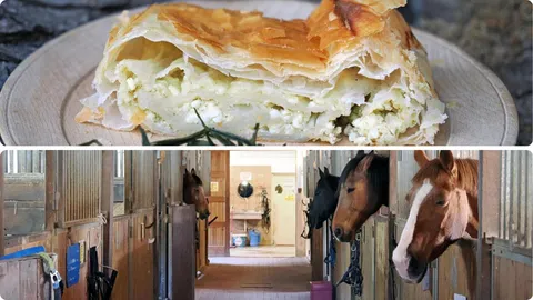 Nakon domaćih delicija, sjesti na konja zvuči kao dobra ideja