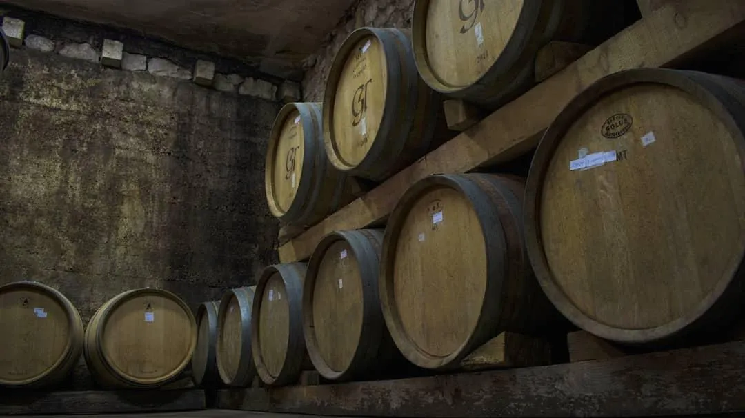 Vinarija Matković — fotografija 1 od 11