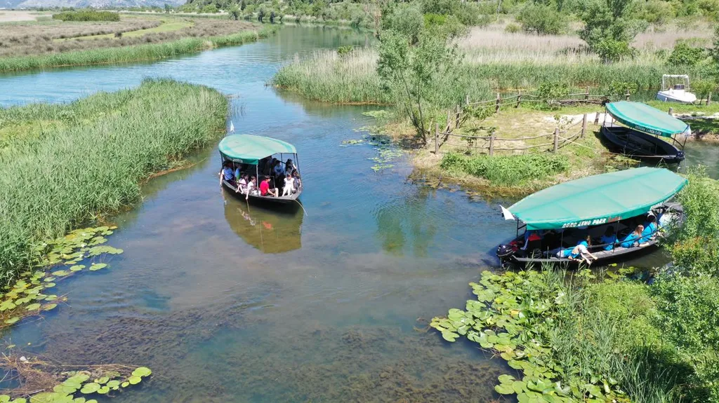Fotosafari na močvari