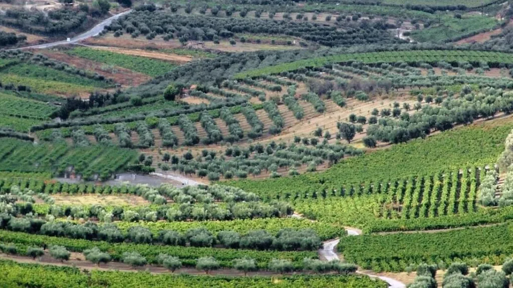 Vinarija Fakin