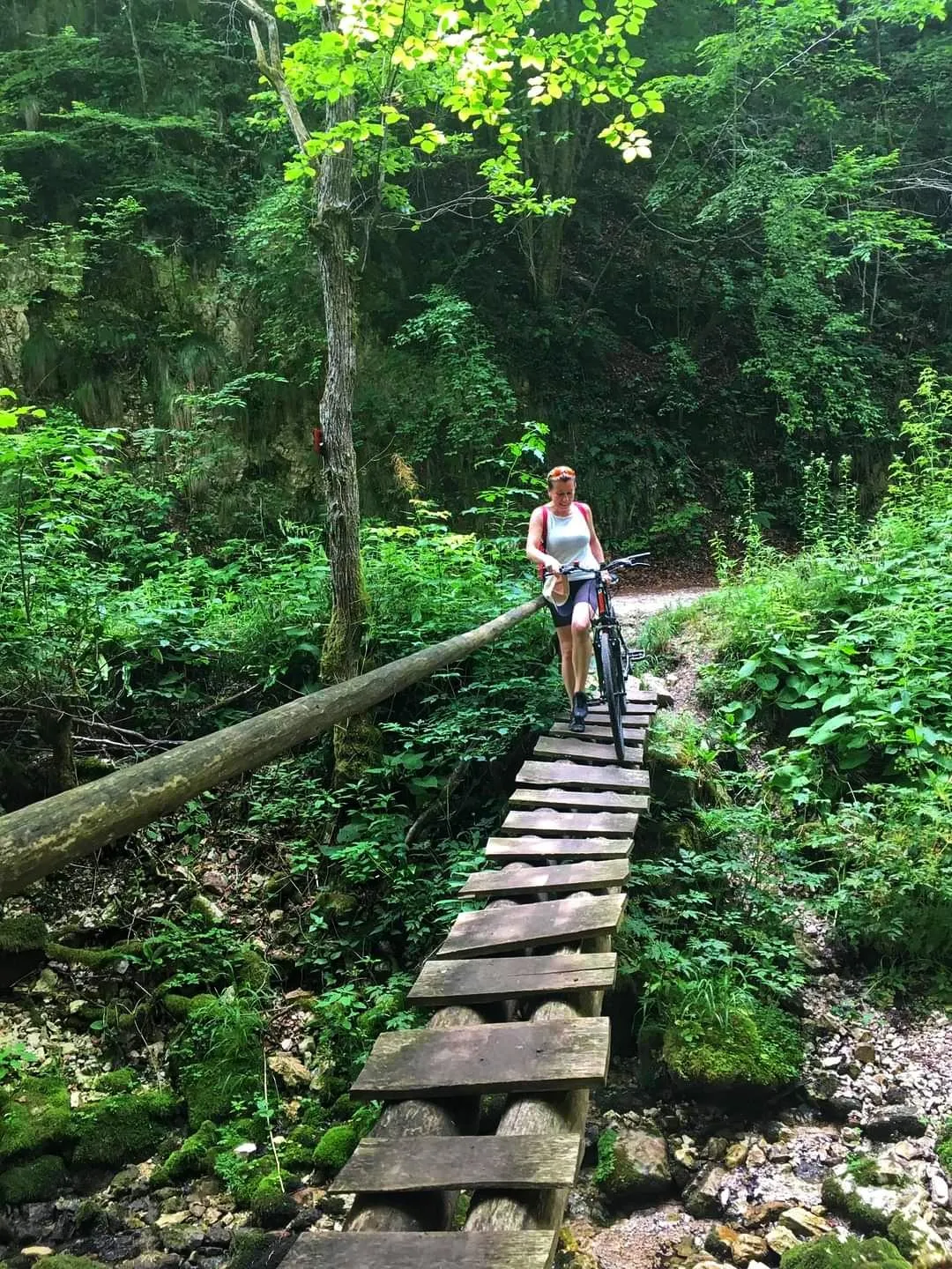 Dolina Slapnice - Slap Brisalo — fotografija 1 od 8
