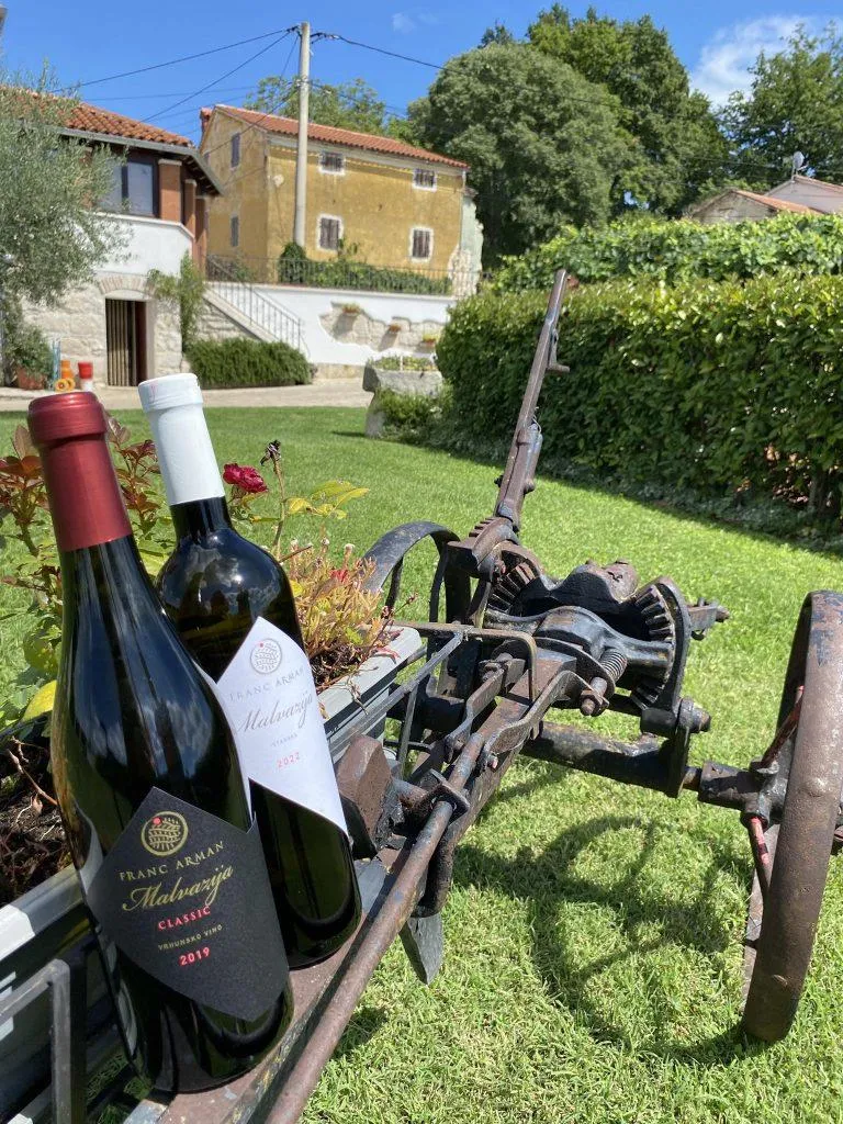 Vinarija Franc Arman — fotografija 1 od 15