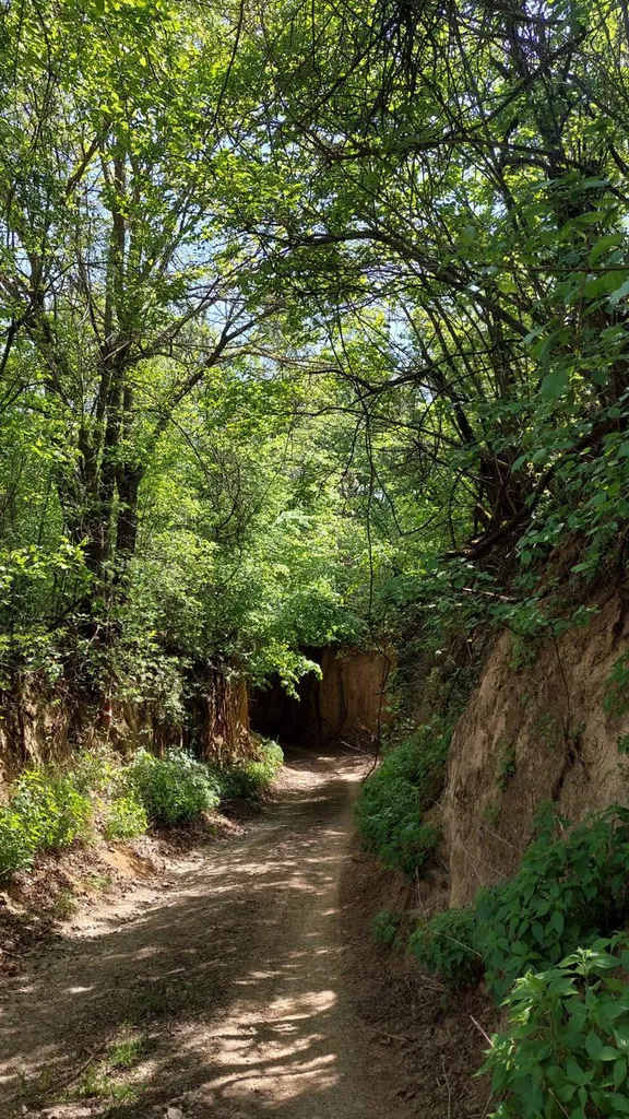 Baranjska planinarska obilaznica