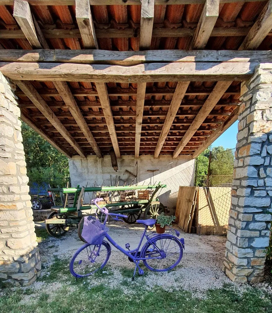 Polja lavande Pekići