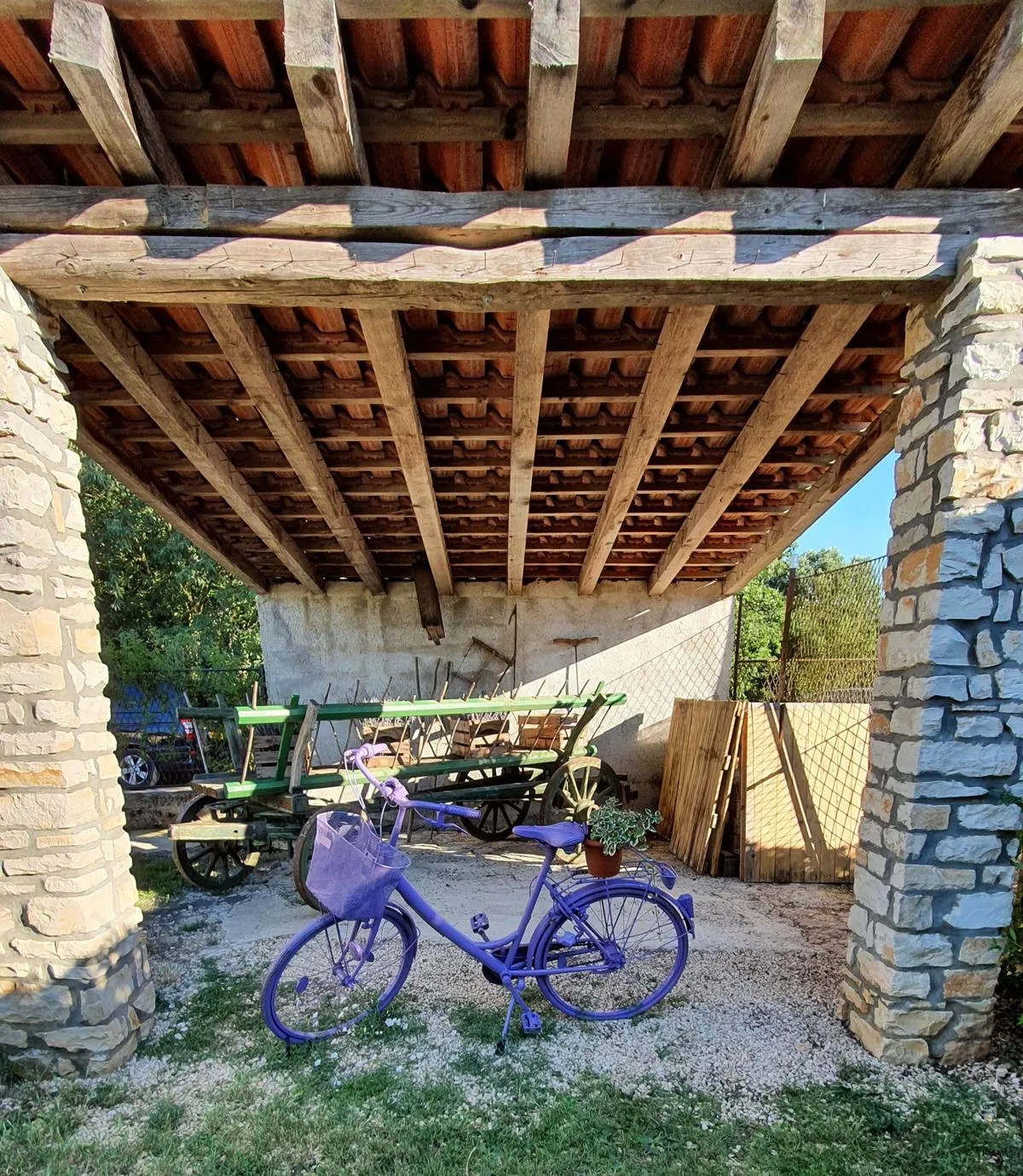 Polja lavande Pekići — fotografija 1 od 9